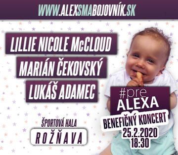 events/2020/02/admid0000/images/banner-MiCKOSICE-Hlavna-32.png